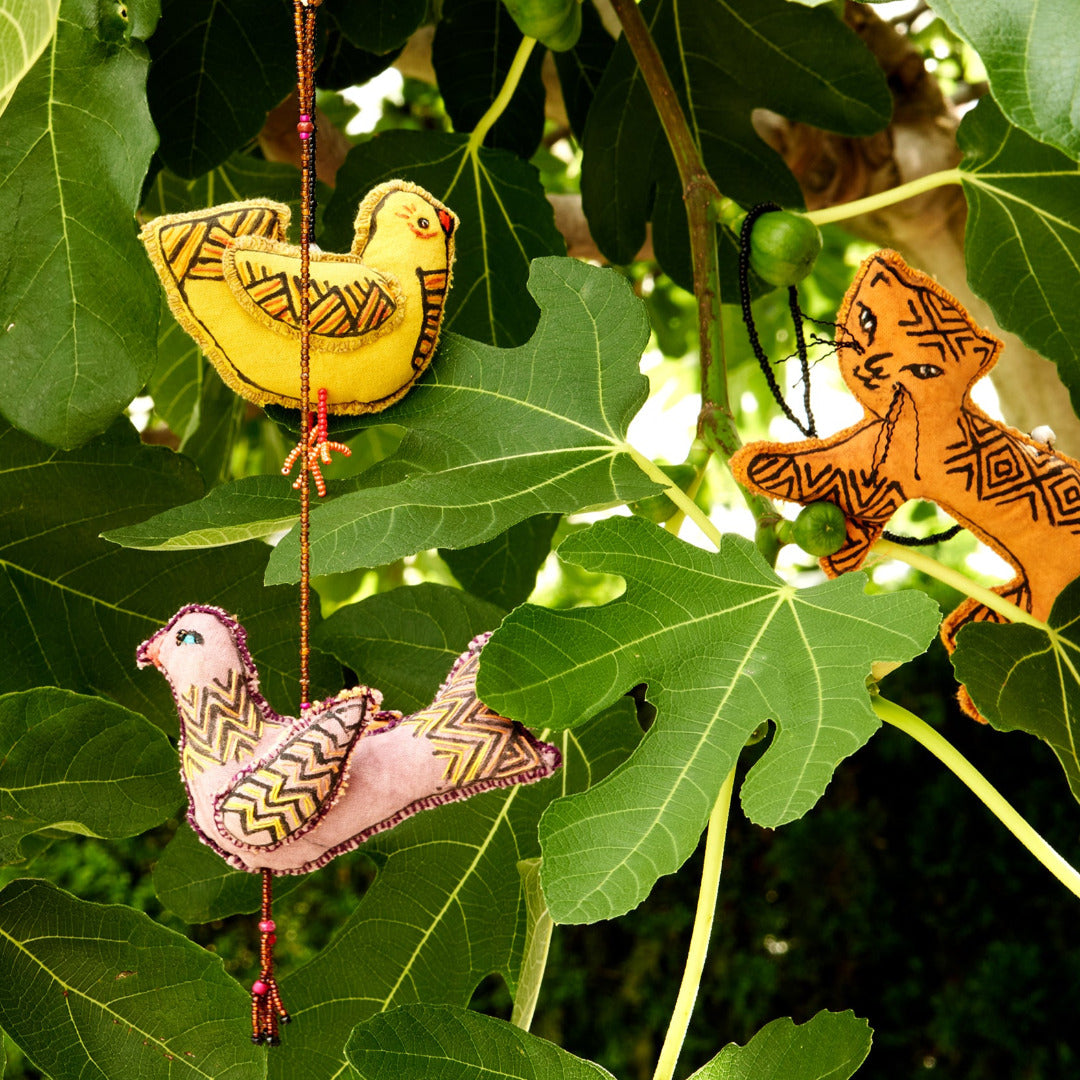 Pajarito